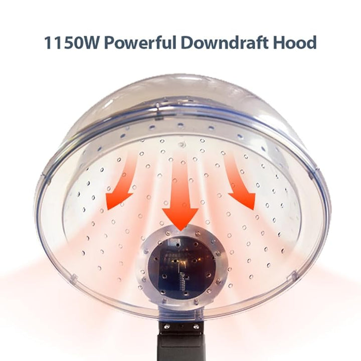 512qPc+79nL.jpg - Imagen 2