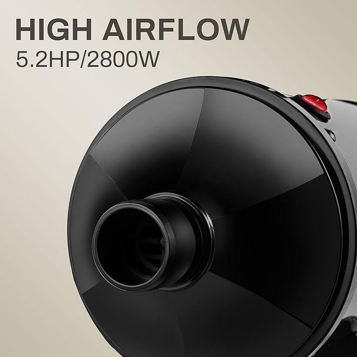 71M1dJLfV9L.jpg - Imagen 6